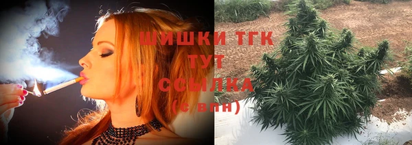 эйфоретик Баксан