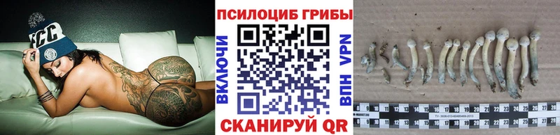 blacksprut ссылки  Грязовец  Галлюциногенные грибы мицелий  где купить наркоту 