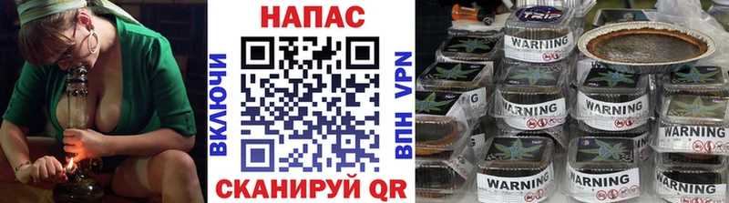 Каннабис сатива  Грязовец 